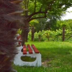 Vila Elektra Makrigialos – Start Travel 27