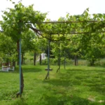 Vila Elektra Makrigialos – Start Travel 29