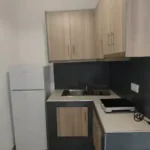 Vila Elli Rooms Nea Vrasna - Start Travel 53 kuhinja