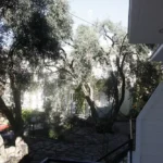 Vila Filoxenia Vrahos - Start Travel 1