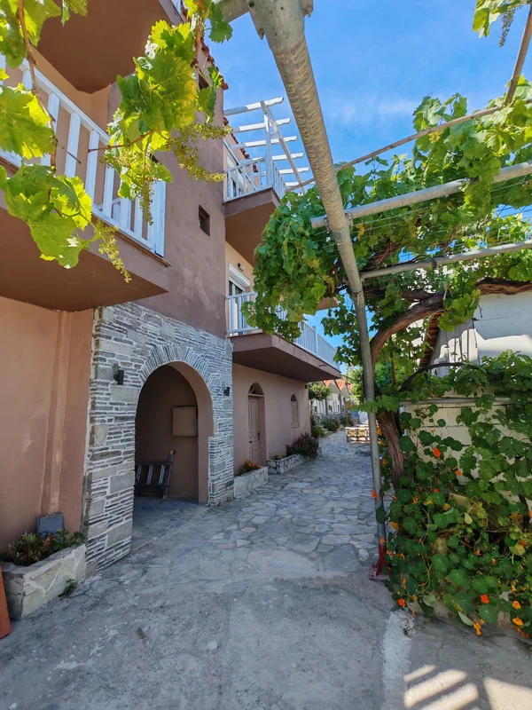 Vila Flora New – fotografija 3