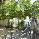 Vila Galanis Golden Beach - Tasos - Start Travel - 18