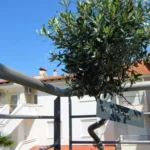 Vila Kehagias Siviri - Start Travel