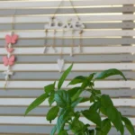 Vila Kehagias Siviri - Start Travel