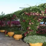 Vila Korali Vrahos - Start Travel 8