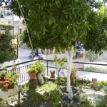 Vila Kostas Parga - Start Travel