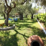 Vila Kouros Limenas - Start Travel 7