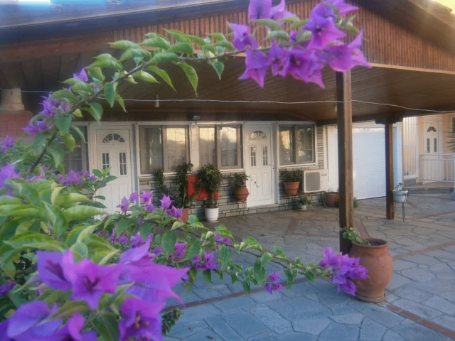 Vila Lena 2