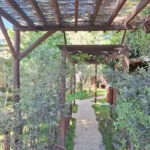 Vila Panajotis - Starvos