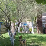 Vila Panajotis - Starvos