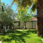 Vila Panajotis - Starvos