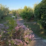 Vila Paradiso Dionisos - Start Travel 14