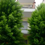 Vila Sakis Polihrono – Start Travel 13