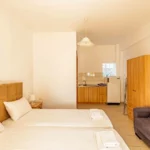 Vila Skioni Studios - Nea Skioni - Start Travel