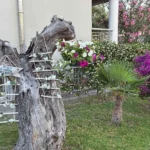 Vila Sofia 1 Pefkohori - Start Travel 6