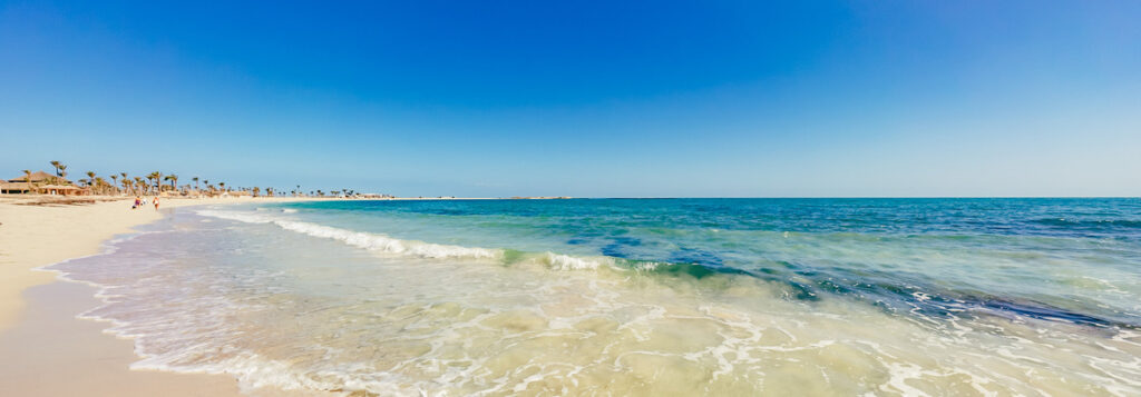 Tunis avionom iz Beograda