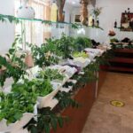 Grand Derin Kemer Start Travel 923