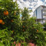 Grand Derin Kemer Start Travel 932