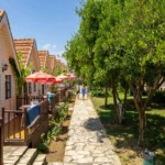 Hotel Clover Magic Nova Beach Side – Start Travel 6