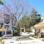 Hotel Serpina Bodrum – Start Travel 6