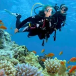 Hotel Steigenberger Al Dau Beach Hurgada – Start Travel 2