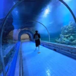 Hotel Steigenberger Aqua Magic Hurgada – Start Travel 5