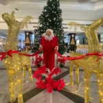 Hotel ZYA Regina Resort and Aqua Park – Start Travel 1