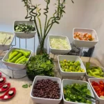 Hotel ZYA Regina Resort and Aqua Park – Start Travel 4