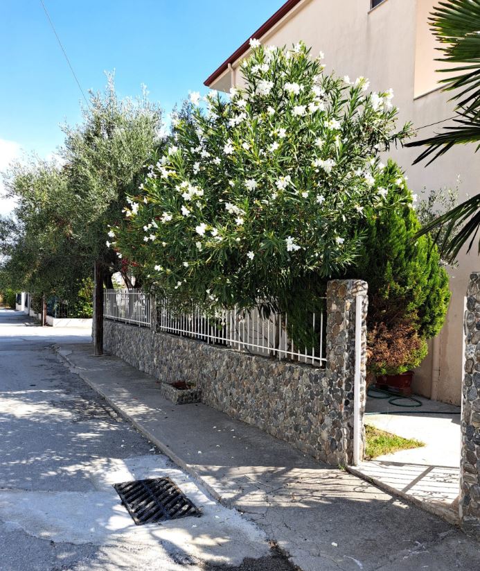 Vila Holiday House naslovna