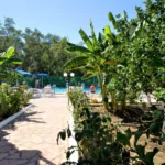 Vila Olive Tree Parga – Start Travel 16