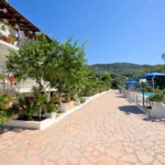 Vila Olive Tree Parga – Start Travel 19