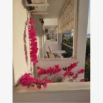 Vila Agnanti Neos Marmaras – Start Travel 9