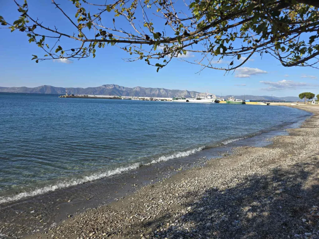 Vila Anastasia Pefki – Start Travel 9