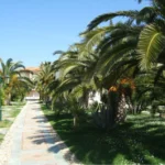 Vila Pilalidis Pefkohori – Start Travel 14