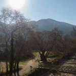 Vila Sotos Stavros- Start Travel 17