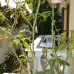 Vila Theo Krf – Start Travel 8