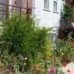 Vila-angeliki-stavros-start-travel-15