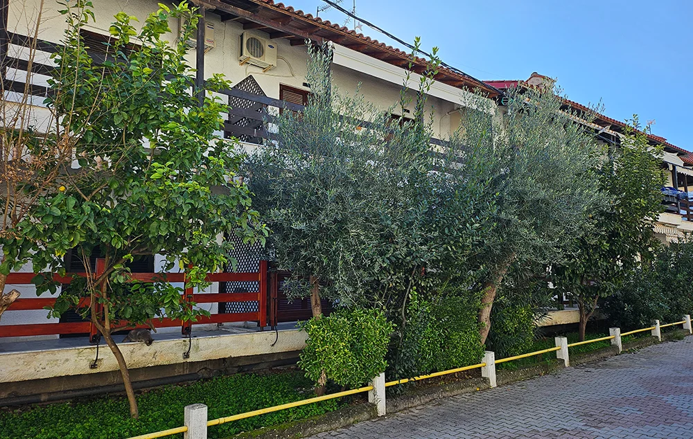 -Vila-keti-pefkohori-start-travel-1