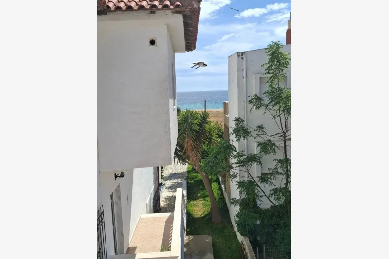 Vila Badis 2 (ex Christina) – fotografija 4