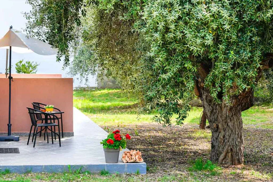 Vila Votsalo Potos -Start Travel 23