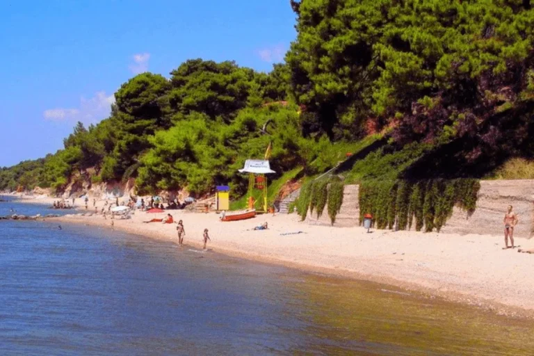 Metamorfozis naslovna