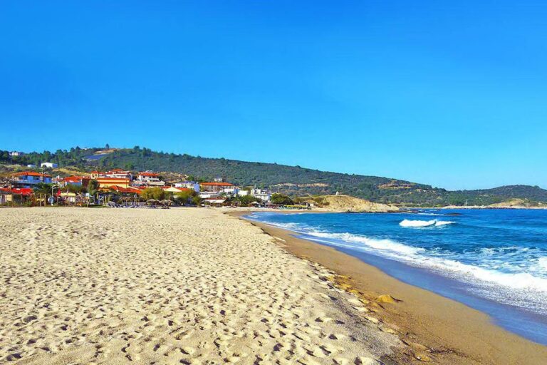 sarti_sitonija_naslovna