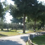 vila-liotrivi-beach-gerakini-22